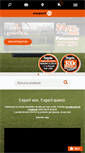 Mobile Screenshot of expert.es